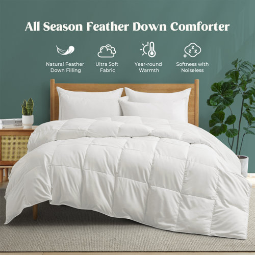 Duvets and Down Comforters Wayfair Canada